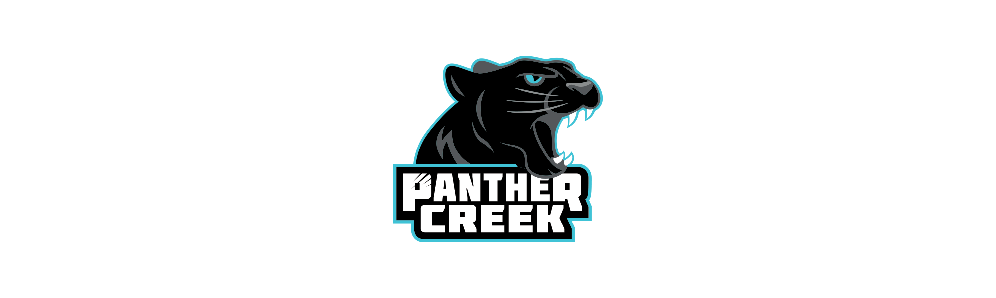 Panther Creek HS Football 2024