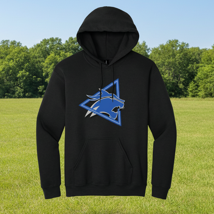 Dekaney HS Band '26 - Hoodie