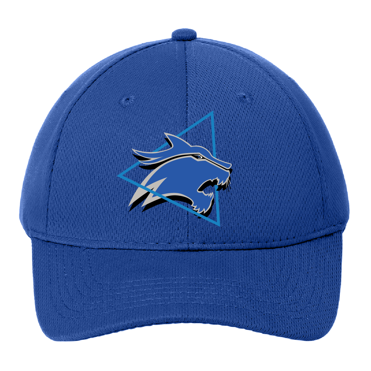 Dekaney HS Band '26 - Hat