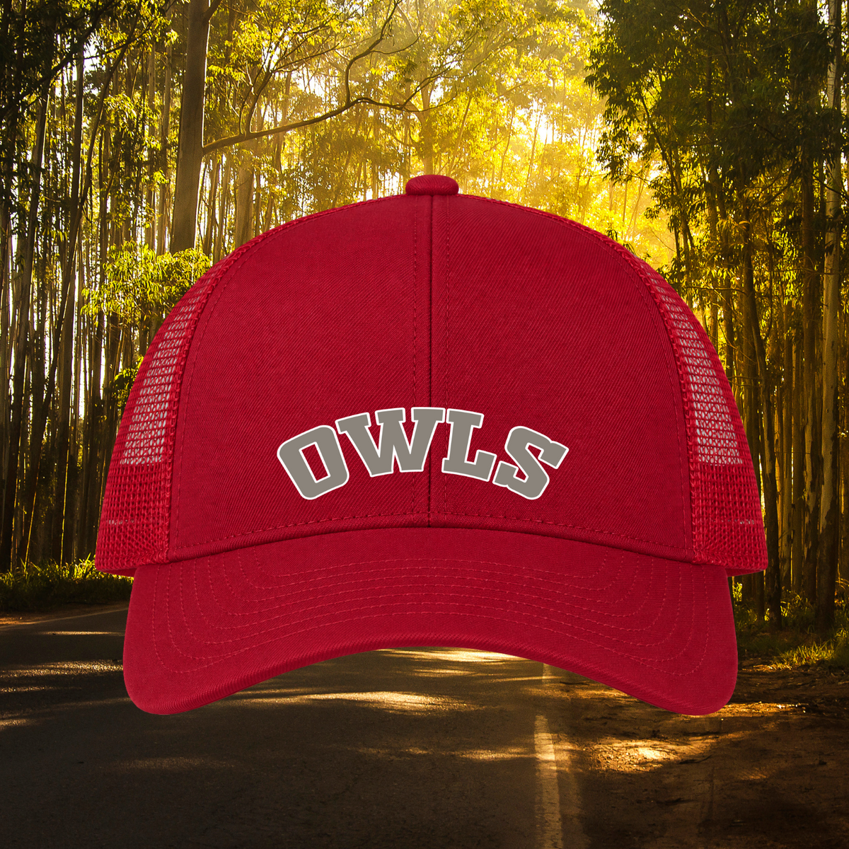Reed Elementary '26 - Youth Cap