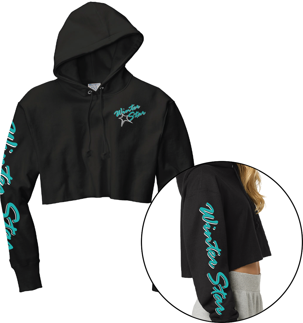 WSICG 2025 - Cropped Hoodie