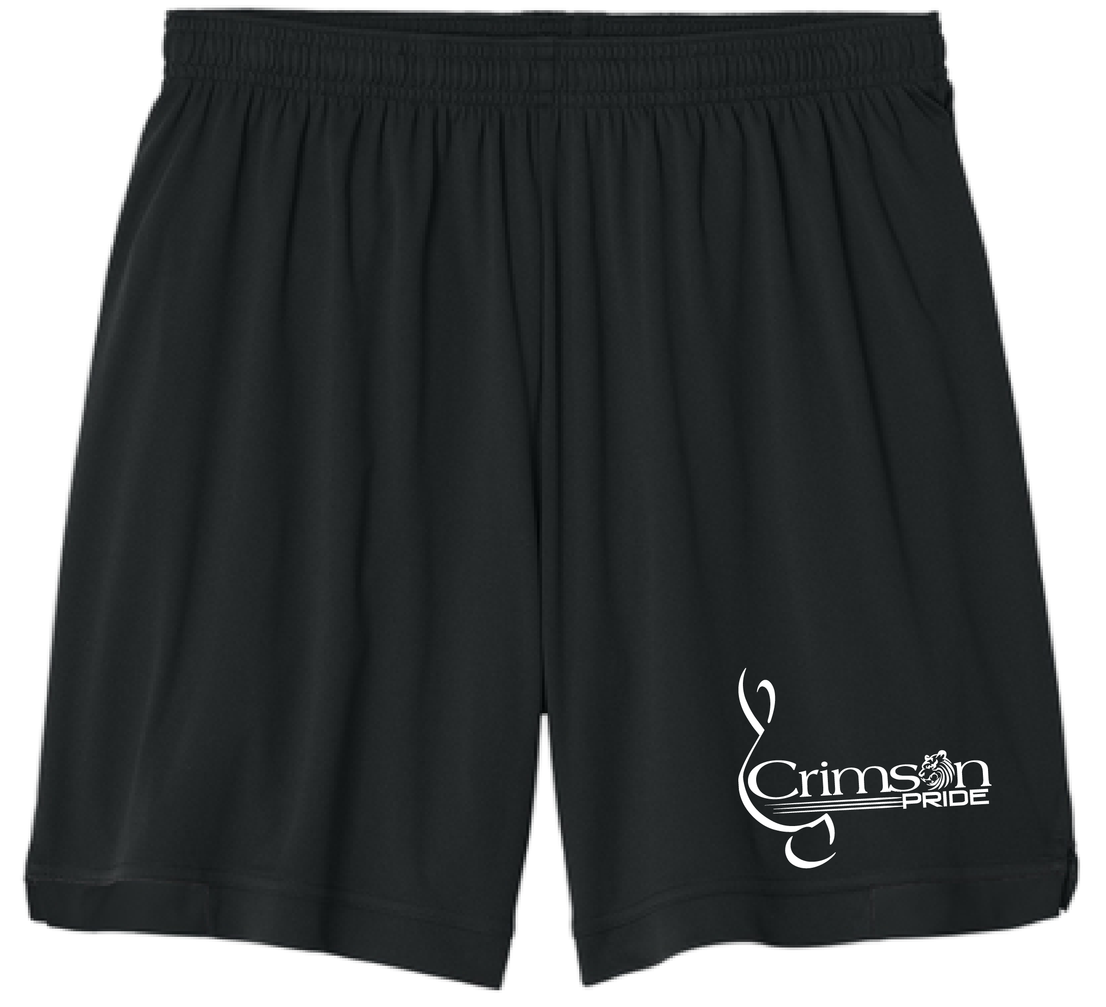 Terrebonne HS Band - Shorts